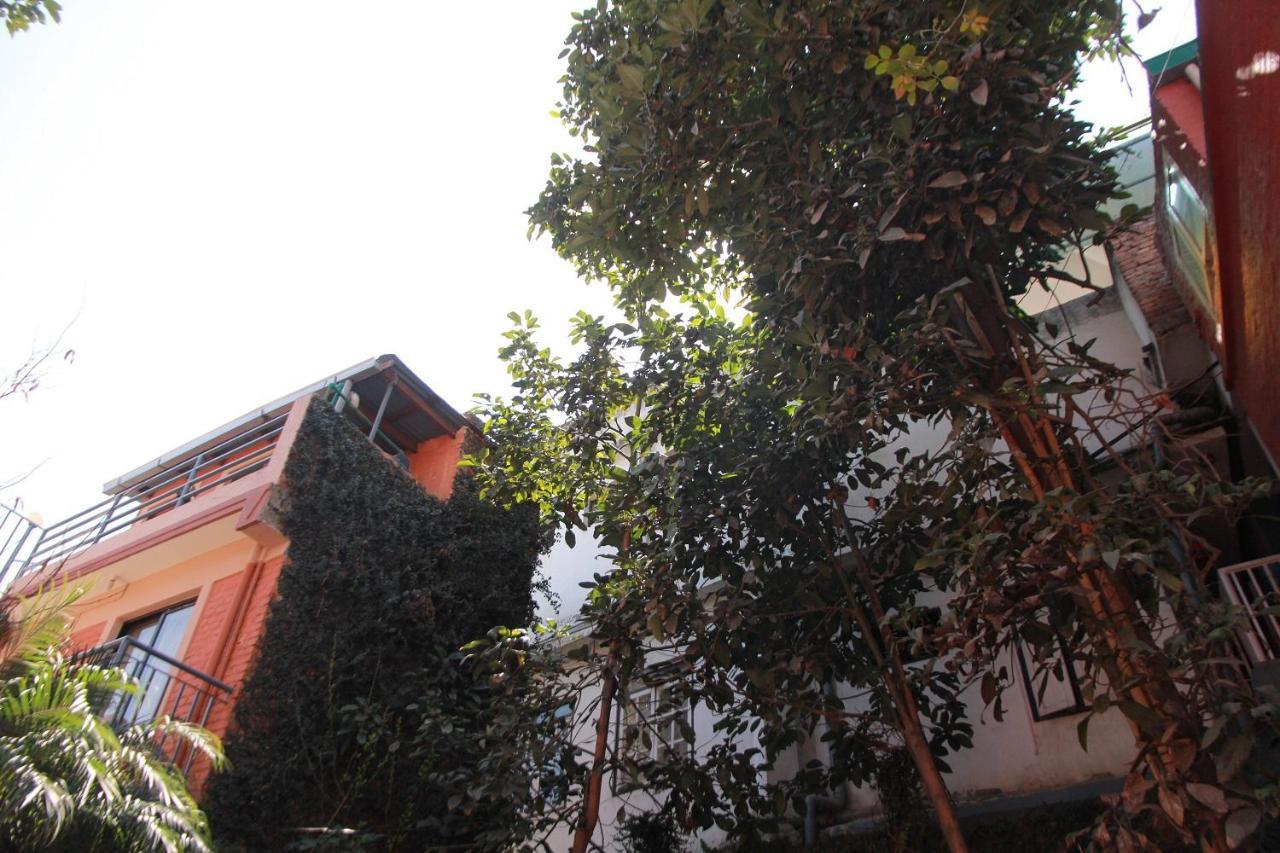 Ojas Wellness B&B Lalitpur Exterior foto